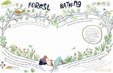 Make Every Week Wild: 52 Creative Activities for Outdoor Adventures (Make It Wild!) - Fiona Danks [KSIĄŻKA]