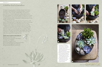 The Kew Gardener's Guide to Growing House Plants: Paperback reissue (Kew Experts) - Kew Royal Botanic Gardens [KSIĄŻKA]