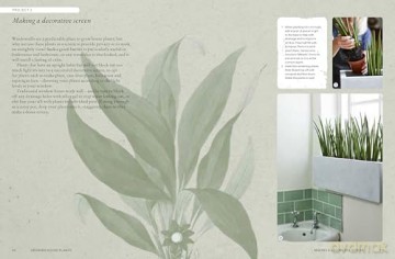 The Kew Gardener's Guide to Growing House Plants: Paperback reissue (Kew Experts) - Kew Royal Botanic Gardens [KSIĄŻKA]