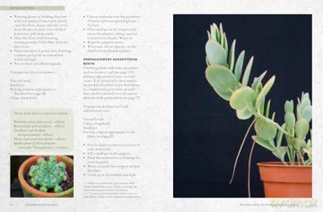 The Kew Gardener's Guide to Growing House Plants: Paperback reissue (Kew Experts) - Kew Royal Botanic Gardens [KSIĄŻKA]