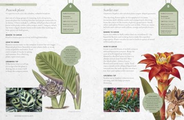 The Kew Gardener's Guide to Growing House Plants: Paperback reissue (Kew Experts) - Kew Royal Botanic Gardens [KSIĄŻKA]