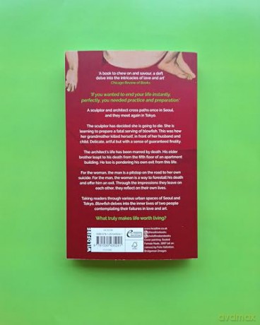Blowfish: An award-winning and movingly introspective exploration of life, art and love from South Korea - Kyung-Ran Jo [KSIĄŻKA]