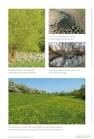 This Is Not My Land: 30 years on a small Cotswolds farm - Caroline Mills [KSIĄŻKA]