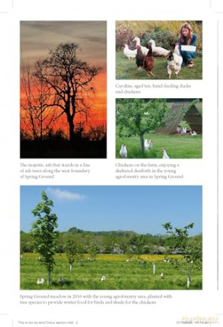 This Is Not My Land: 30 years on a small Cotswolds farm - Caroline Mills [KSIĄŻKA]