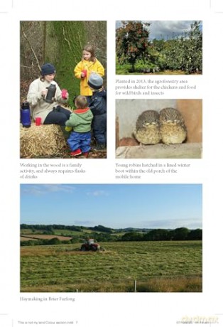 This Is Not My Land: 30 years on a small Cotswolds farm - Caroline Mills [KSIĄŻKA]