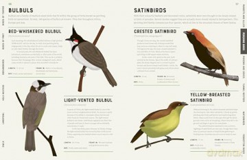 Encyclopedia of Birds - Jules Howard [KSIĄŻKA]