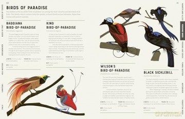 Encyclopedia of Birds - Jules Howard [KSIĄŻKA]