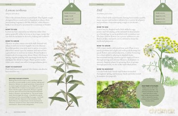 The Kew Gardener's Guide to Growing Herbs: The Art and Science to Grow Your Own Herbs (2) (Kew Experts) - Kew Royal Botanic Gardens [KSIĄŻKA]