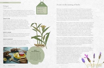 The Kew Gardener's Guide to Growing Herbs: The Art and Science to Grow Your Own Herbs (2) (Kew Experts) - Kew Royal Botanic Gardens [KSIĄŻKA]