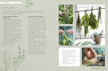 The Kew Gardener's Guide to Growing Herbs: The Art and Science to Grow Your Own Herbs (2) (Kew Experts) - Kew Royal Botanic Gardens [KSIĄŻKA]