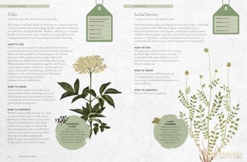 The Kew Gardener's Guide to Growing Herbs: The Art and Science to Grow Your Own Herbs (2) (Kew Experts) - Kew Royal Botanic Gardens [KSIĄŻKA]
