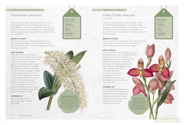 The Kew Gardener's Guide to Growing Orchids: The Art and Science to Grow Your Own Orchids (Kew Experts) - Philip Seaton [KSIĄŻKA]