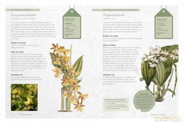 The Kew Gardener's Guide to Growing Orchids: The Art and Science to Grow Your Own Orchids (Kew Experts) - Philip Seaton [KSIĄŻKA]