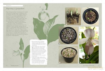The Kew Gardener's Guide to Growing Orchids: The Art and Science to Grow Your Own Orchids (Kew Experts) - Philip Seaton [KSIĄŻKA]