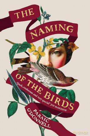 The Naming of the Birds - Paraic O'Donnell [KSIĄŻKA]