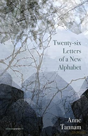 Twenty-six Letters of a New Alphabet - Anne Tannam [KSIĄŻKA]
