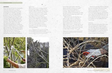 The Kew Gardener's Guide to Growing Fruit: The Art and Science to Grow Your Own Fruit (Kew Experts) - Kew Royal Botanic Gardens [KSIĄŻKA]