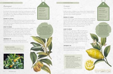 The Kew Gardener's Guide to Growing Fruit: The Art and Science to Grow Your Own Fruit (Kew Experts) - Kew Royal Botanic Gardens [KSIĄŻKA]