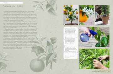 The Kew Gardener's Guide to Growing Fruit: The Art and Science to Grow Your Own Fruit (Kew Experts) - Kew Royal Botanic Gardens [KSIĄŻKA]