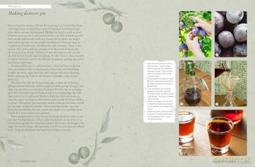 The Kew Gardener's Guide to Growing Fruit: The Art and Science to Grow Your Own Fruit (Kew Experts) - Kew Royal Botanic Gardens [KSIĄŻKA]