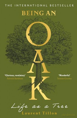 Being an Oak: Life as a tree - Laurent Tillon [KSIĄŻKA]