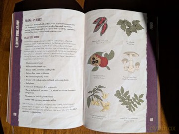 Adventure Awaits: The Beginner's Guide to the Great Outdoors - Ky Furneaux [KSIĄŻKA]