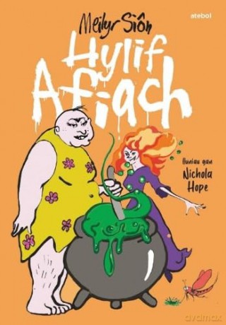 Hylif Afiach - Meilyr Siôn [KSIĄŻKA]