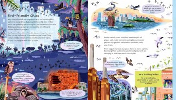 Cities Going Wild - To Save the Planet - Catherine Barr [KSIĄŻKA]