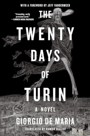 The Twenty Days of Turin: A Novel - Giorgio De Maria [KSIĄŻKA]