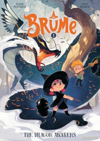 Brume, Volume 1: The Dragon Awakens - Jérôme Pélissier [KSIĄŻKA]