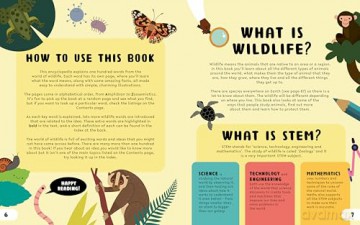 The STEM Encyclopedia of Wildlife Words: An Illustrated a to Z of 100 Animal Terms for Kids to Know (Illustrated Encyclopedias) - Jenny Jacoby [KSIĄŻKA]