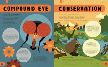 The STEM Encyclopedia of Wildlife Words: An Illustrated a to Z of 100 Animal Terms for Kids to Know (Illustrated Encyclopedias) - Jenny Jacoby [KSIĄŻKA]