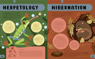 The STEM Encyclopedia of Wildlife Words: An Illustrated a to Z of 100 Animal Terms for Kids to Know (Illustrated Encyclopedias) - Jenny Jacoby [KSIĄŻKA]