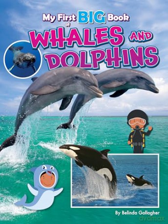 My First Big Book of Whales and Dolphins - Belinda Gallagher [KSIĄŻKA]