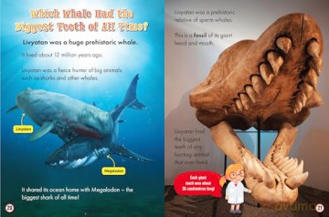 My First Big Book of Whales and Dolphins - Belinda Gallagher [KSIĄŻKA]