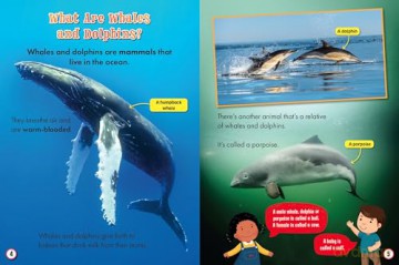 My First Big Book of Whales and Dolphins - Belinda Gallagher [KSIĄŻKA]