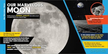 The Fascinating Science Book for Kids: 500 Amazing Facts! (Fascinating Facts) - Kevin Kurtz [KSIĄŻKA]