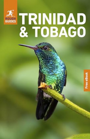 Rough Guides Trinidad and Tobago: Travel Guide with eBook (Rough Guides Main Series) - Rough Guides [KSIĄŻKA]
