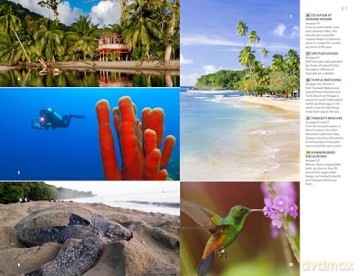 Rough Guides Trinidad and Tobago: Travel Guide with eBook (Rough Guides Main Series) - Rough Guides [KSIĄŻKA]