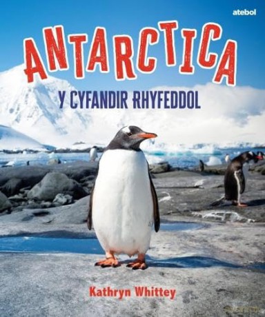 Antarctica - Y Cyfandir Rhyfeddol - Kathryn Whittey [KSIĄŻKA]