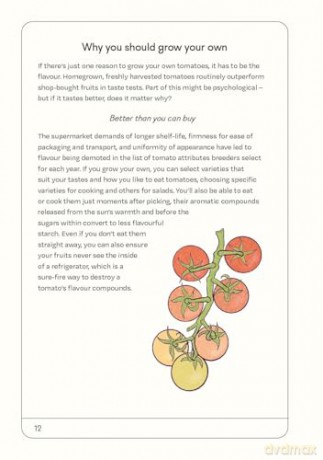 The Tomato Grower's Handbook: Everything you need to know, from seed to harvest and beyond - Holly Farrell [KSIĄŻKA]