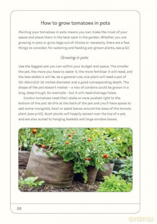 The Tomato Grower's Handbook: Everything you need to know, from seed to harvest and beyond - Holly Farrell [KSIĄŻKA]