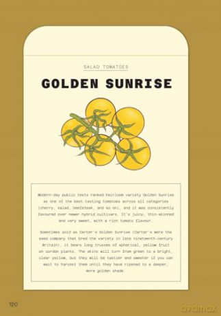 The Tomato Grower's Handbook: Everything you need to know, from seed to harvest and beyond - Holly Farrell [KSIĄŻKA]