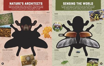 Inside Out Insects: Discover Nature's Creeping, Crawling, Flying Wonders (Inside Out, Chartwell) [KSIĄŻKA]