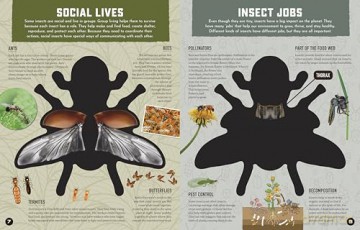 Inside Out Insects: Discover Nature's Creeping, Crawling, Flying Wonders (Inside Out, Chartwell) [KSIĄŻKA]