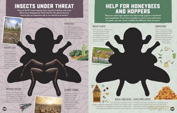 Inside Out Insects: Discover Nature's Creeping, Crawling, Flying Wonders (Inside Out, Chartwell) [KSIĄŻKA]