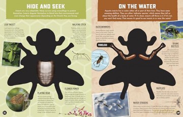 Inside Out Insects: Discover Nature's Creeping, Crawling, Flying Wonders (Inside Out, Chartwell) [KSIĄŻKA]