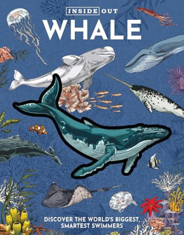 Inside Out Whale: Discover the World's Biggest, Smartest Swimmers (Inside Out, Chartwell) [KSIĄŻKA]