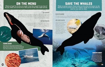 Inside Out Whale: Discover the World's Biggest, Smartest Swimmers (Inside Out, Chartwell) [KSIĄŻKA]