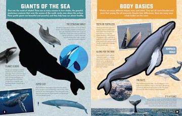 Inside Out Whale: Discover the World's Biggest, Smartest Swimmers (Inside Out, Chartwell) [KSIĄŻKA]
